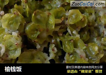 榆钱饭