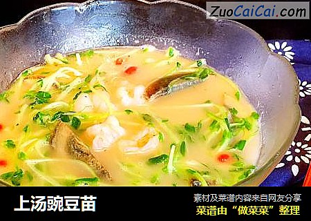 上汤豌豆苗