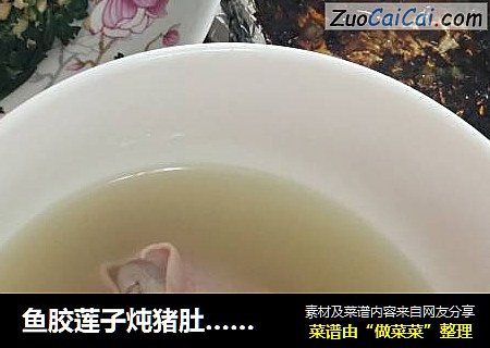 鱼胶莲子炖猪肚……