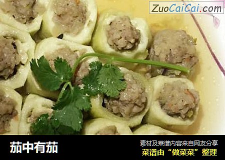 茄中有茄
