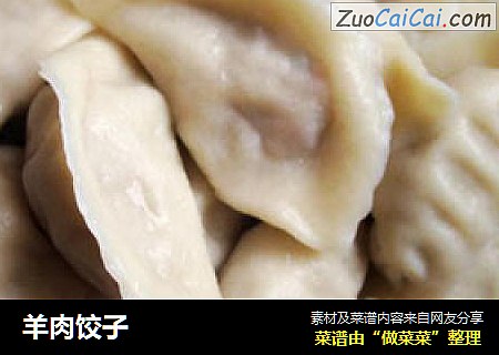 羊肉饺子