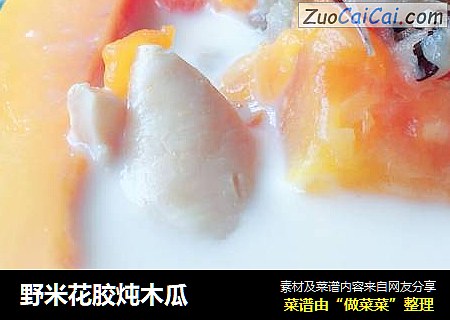 野米花胶炖木瓜