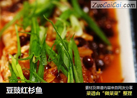 豆豉红杉鱼