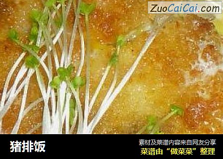 猪排饭