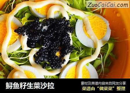 鲟鱼籽生菜沙拉