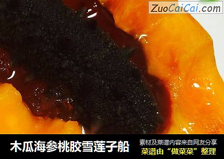 木瓜海参桃胶雪莲子船
