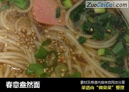 春意盎然面