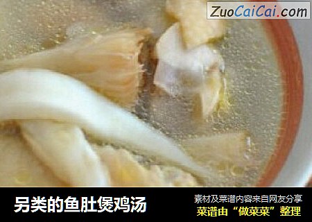 另类的鱼肚煲鸡汤