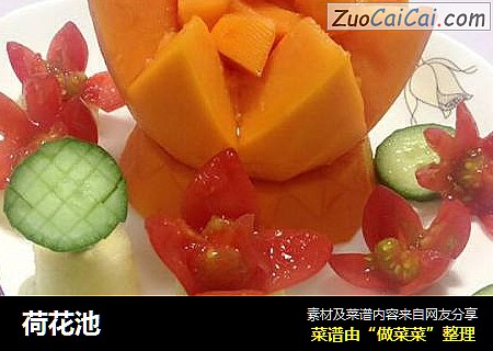 荷花池