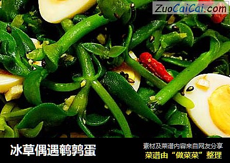 冰草偶遇鹌鹑蛋
