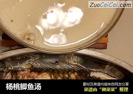 杨桃鲫鱼汤