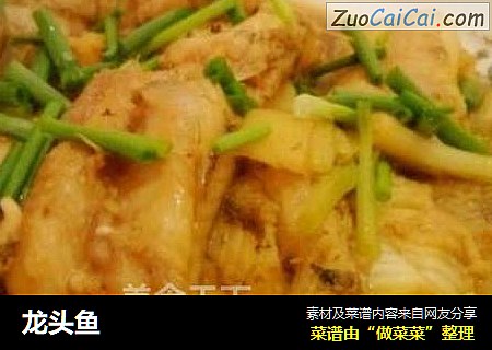 龙头鱼