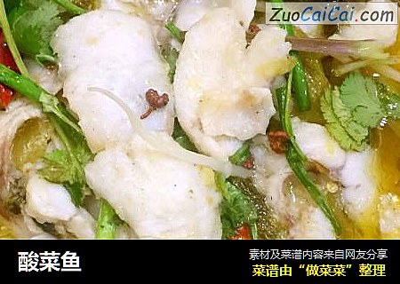 酸菜鱼
