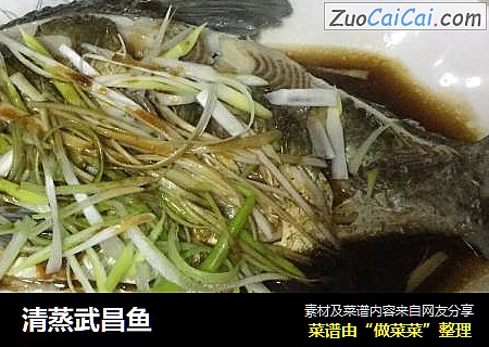 清蒸武昌鱼