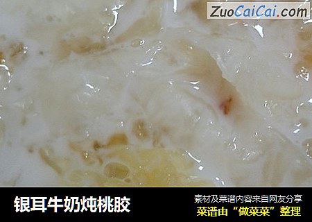银耳牛奶炖桃胶
