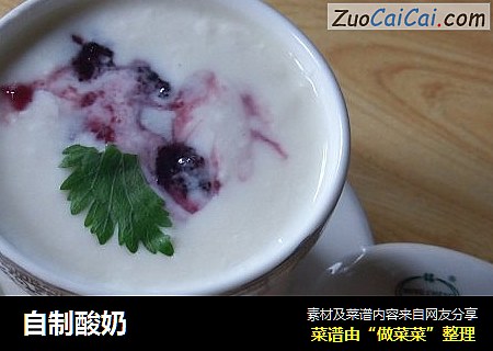 自制酸奶