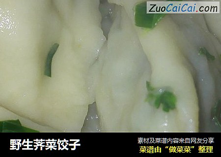 野生荠菜饺子