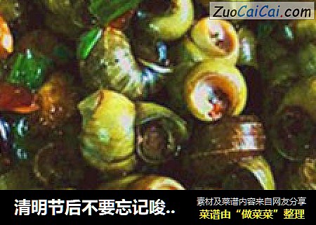 清明节后不要忘记唆完一盘酱爆螺狮，才叫不负春光！