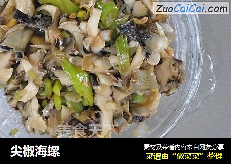 尖椒海螺
