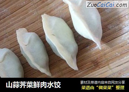 山蒜荠菜鲜肉水饺