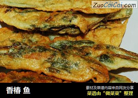 香椿 鱼