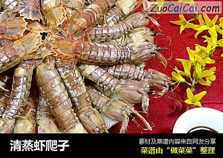 清蒸虾爬子