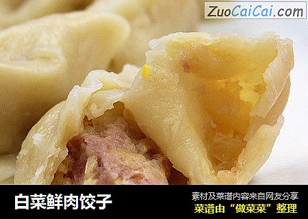 白菜鲜肉饺子