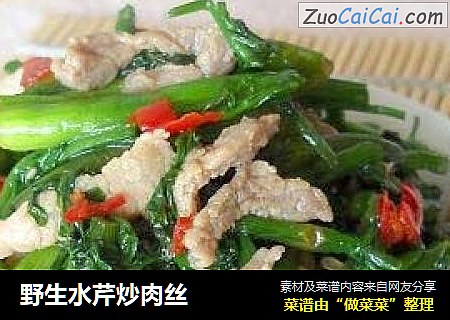 野生水芹炒肉丝