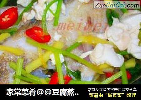 家常菜肴@@豆腐蒸石斑鱼