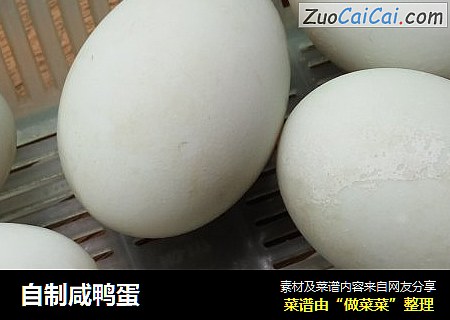 自制咸鸭蛋