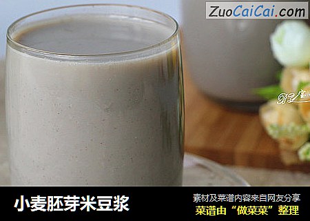 小麦胚芽米豆浆