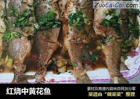 红烧中黄花鱼