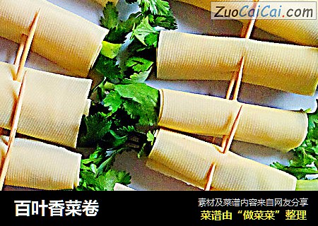 百叶香菜卷