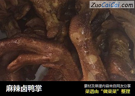 麻辣卤鸭掌