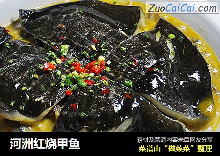 河洲红烧甲鱼