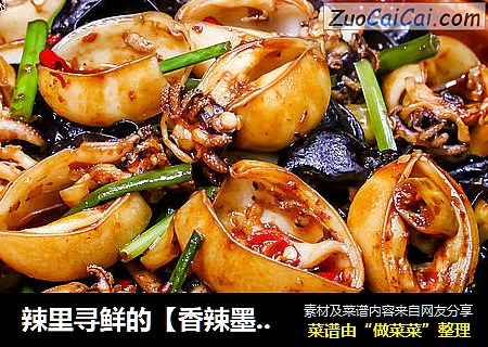辣里寻鲜的【香辣墨鱼仔】