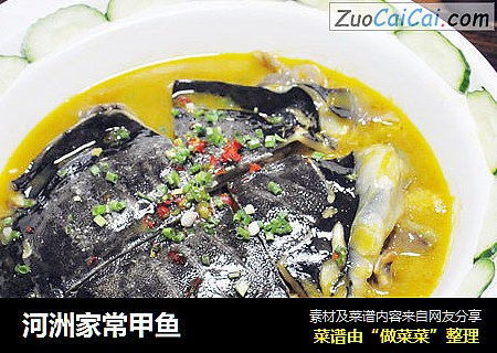 河洲家常甲鱼