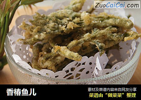 香椿鱼儿