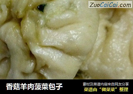 香菇羊肉菠菜包子