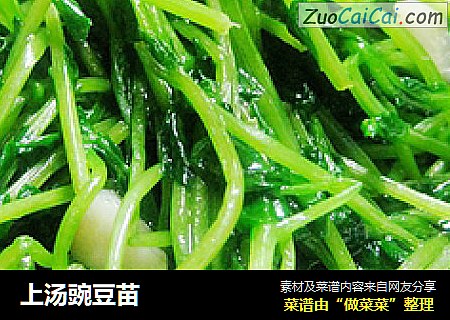 上汤豌豆苗
