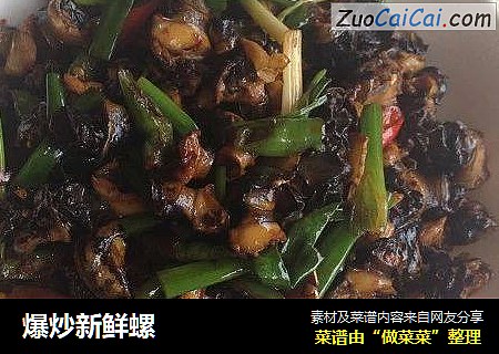 爆炒新鲜螺