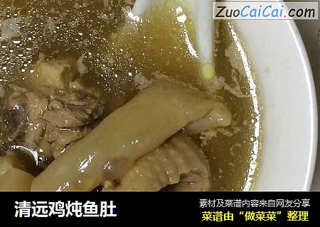 清远鸡炖鱼肚