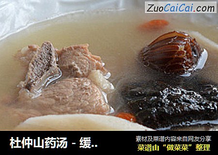 杜仲山药汤 - 缓解腰酸背疼的靓汤