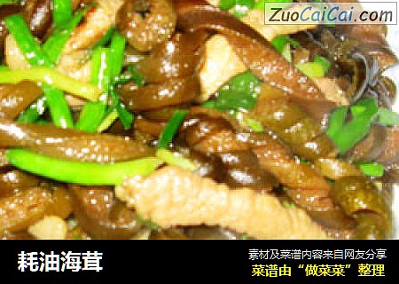 耗油海茸