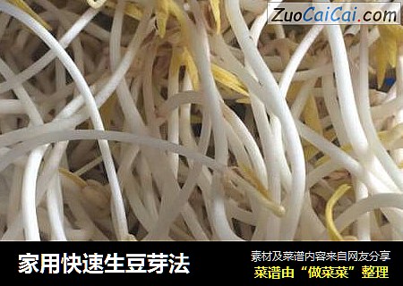 家用快速生豆芽法