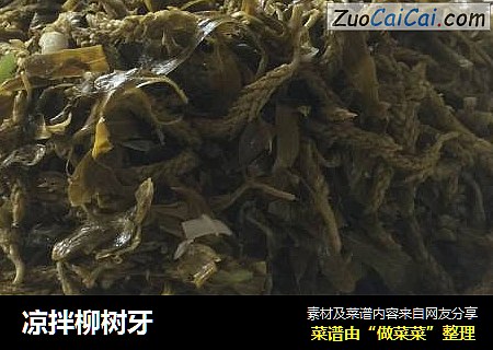 凉拌柳树牙