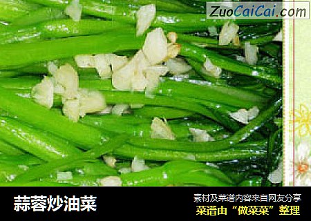 蒜蓉炒油菜