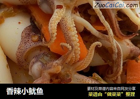 香辣小鱿鱼