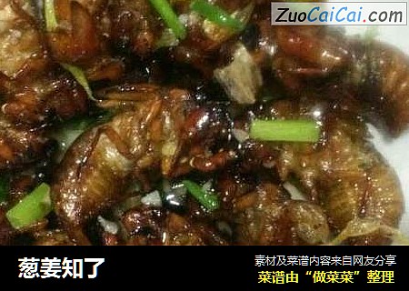 葱姜知了