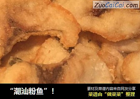 “潮汕粉鱼”！